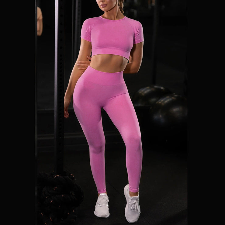 Women Seamless Yoga & Gym Set