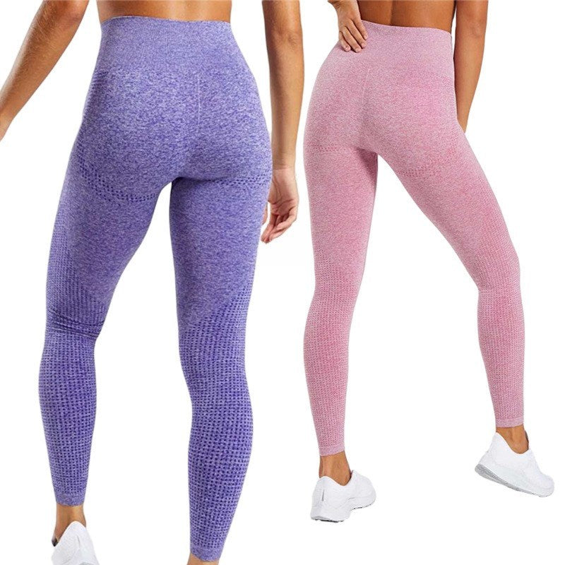 Fitness Seamless Leggings - Just Fit 