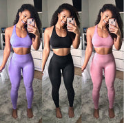 Fitness Seamless