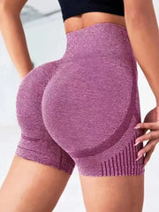 Women’s Yoga Shorts Seamless High Elastic High Waist Quick Dry