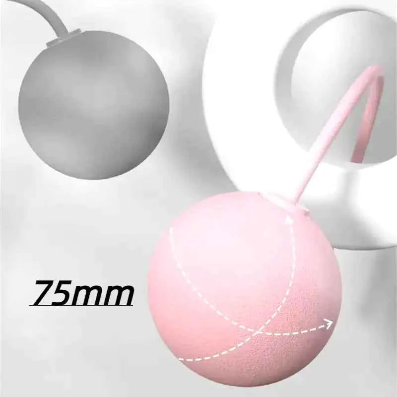 1Pcs Cordless Jump Rope Home Gym Equipment with Heavy Balls