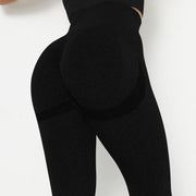 Women’s Seamless Set Legging +sport bra+short+long sleeves